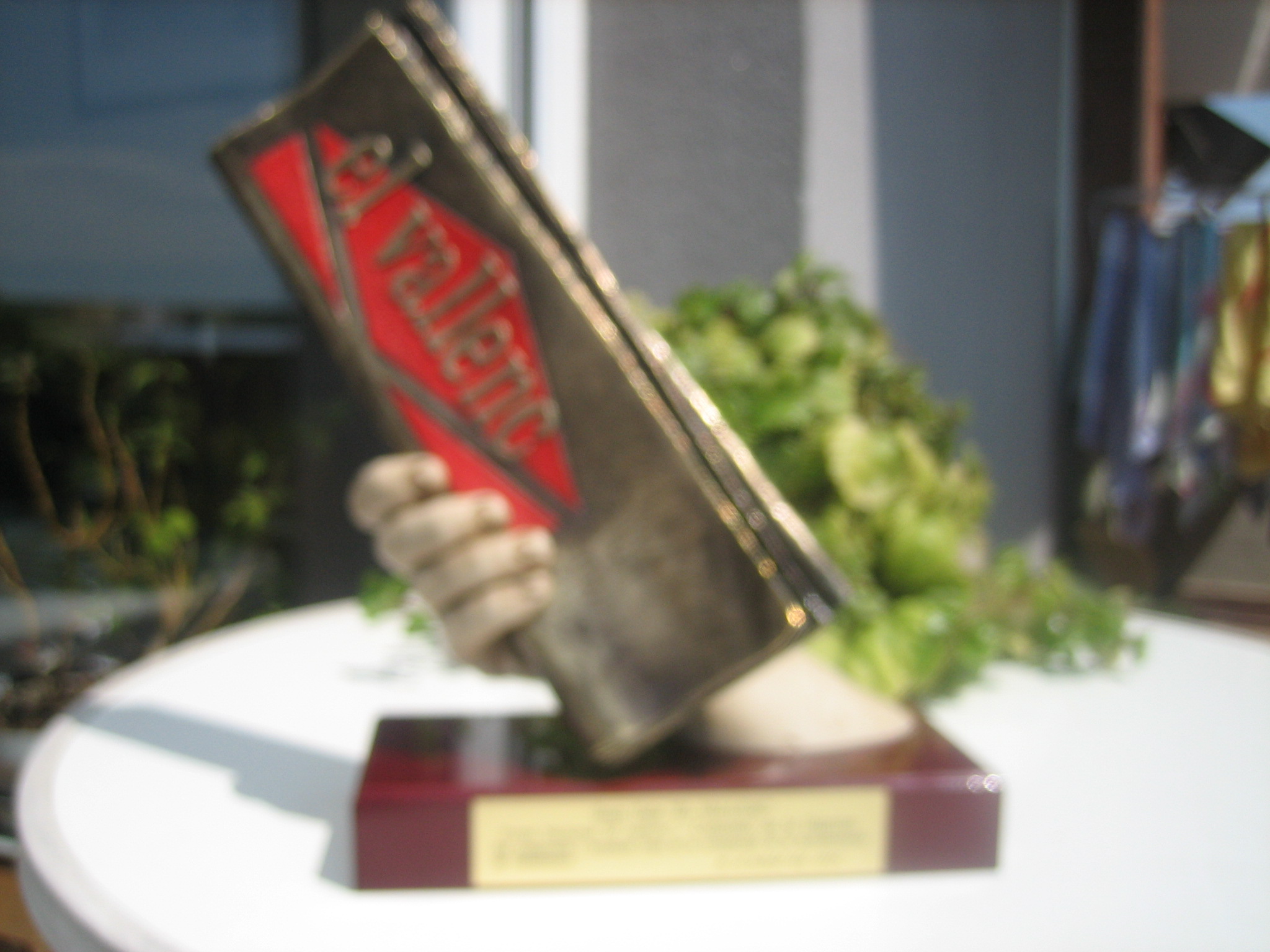 Premi Nacional El Vallenc 2007  