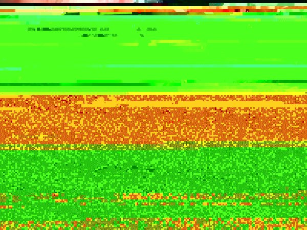 Fotografies de l'acte.